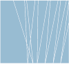 Carbonveneta Logo